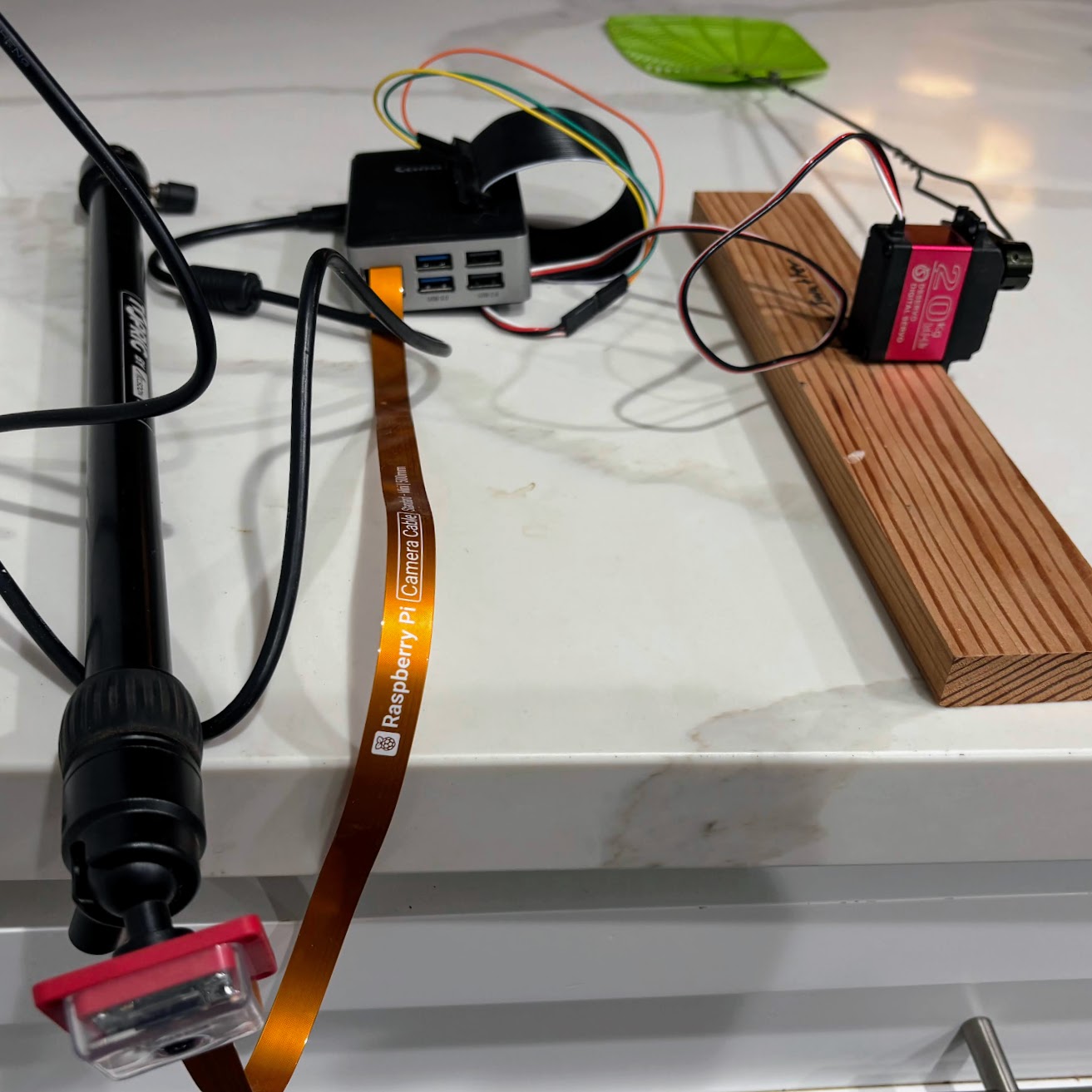 pi dog trainer